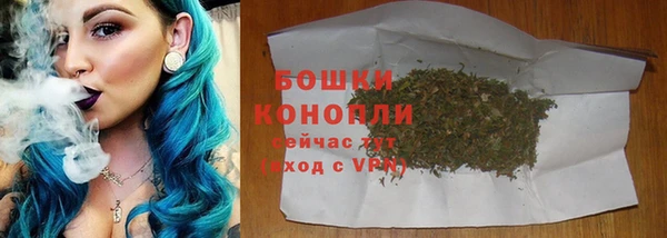 a pvp Ельня