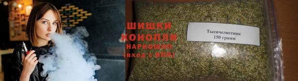 a pvp Ельня