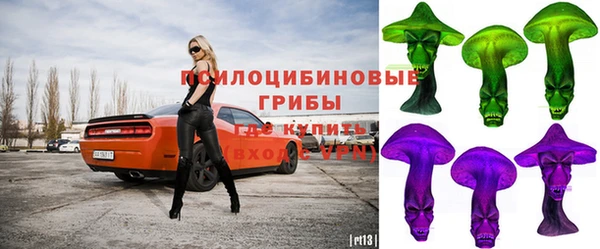 a pvp Ельня