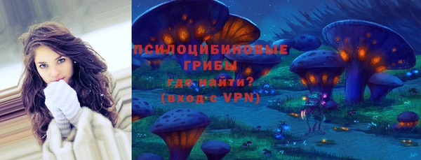 a pvp Ельня