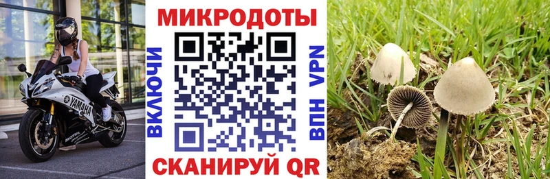 дарнет шоп  OMG вход  Галлюциногенные грибы Cubensis  Магнитогорск 